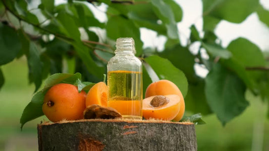 Apricot Kernel Oil