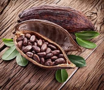 Cocoa Pods