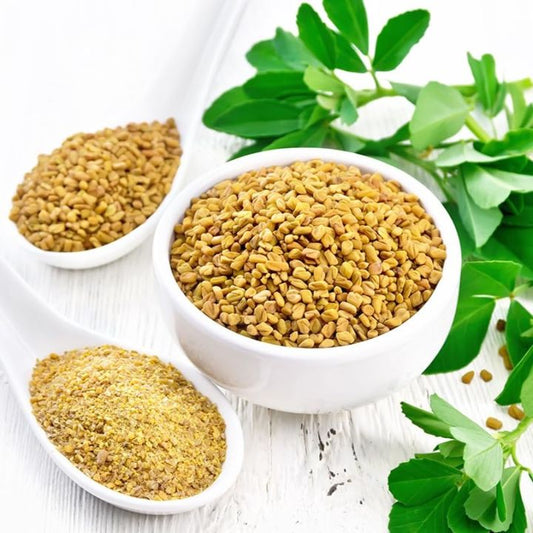 Fenugreek