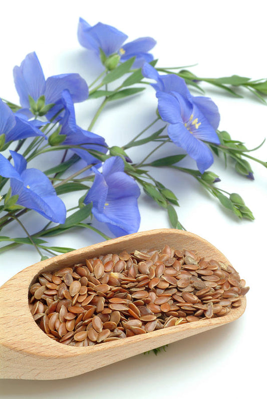 Flaxseed