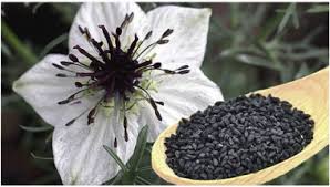 Nigella Seeds