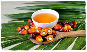 Palm Kernel Oil
